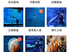 -烟台海昌鲸鲨海洋公园