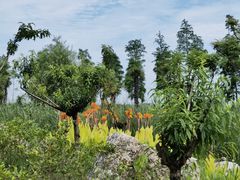 -春花秋色城市公园