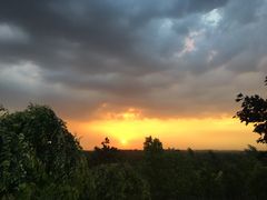 -东郊湿地公园