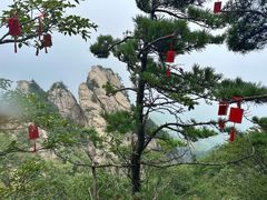 -老君山风景名胜区