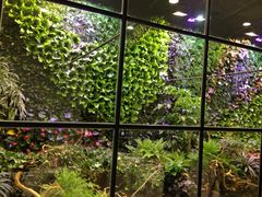 iphone_upload_pic-凯德广场(学府店)