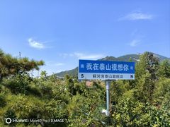 -蘇河湾·新鲁菜·泰山宴(泰山店)