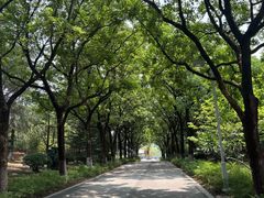 -白塘生态植物园