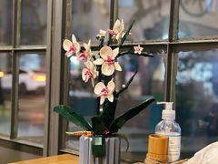 -小隐(淮海路店)