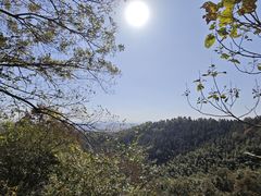 -敬亭山风景名胜区