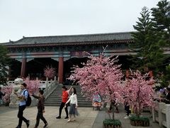 -厦门方特梦幻王国