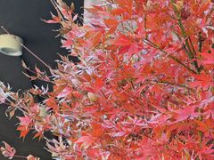 -浙江大学(玉泉校区)