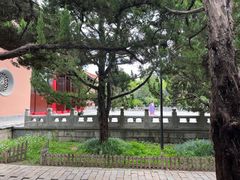 -苏州文庙(姑苏区)