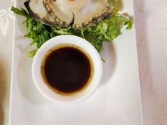 鲍鱼-丁老爷子苏香圆