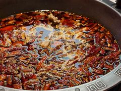 -销魂美蛙鱼头火锅(上海首店)