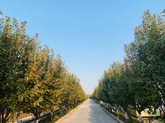 -北京美神宫艺术主题温泉酒店