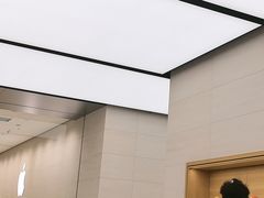 -Apple零售店(苏州店)