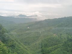-蜀南竹海景区