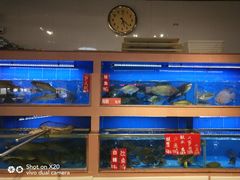 水产区-皮记海鲜1995(寮步店)