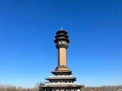 景点-隆福寺