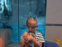 -帝企鹅自助餐厅•儿童岛•真企鹅(长隆企鹅酒店)