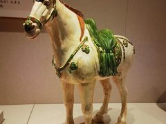 -深圳博物馆(古代艺术馆)