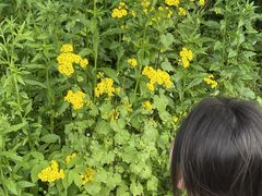 -东白山