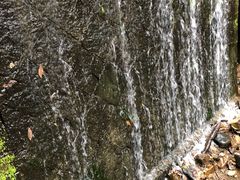 -太湖源风景区