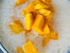椰汁芒果雪燕-传统糖水