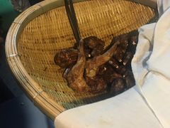 -邓氏兔头