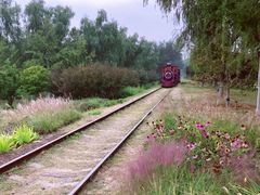 -永定河休闲森林公园