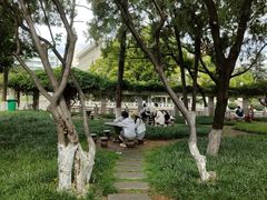 -云南师范大学(一二一西南联大校区)