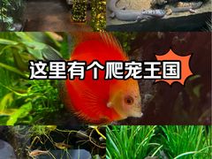-华威约饭街