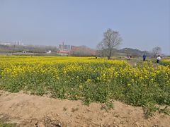 -西海岸生态观光园