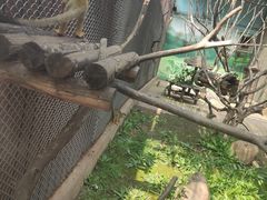 -沈阳森林动物园