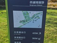 -贡湖湾湿地公园