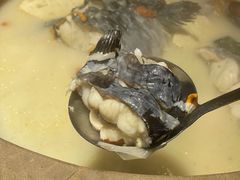 -滇小鱼·云南野生菌火锅(上杭路店)