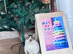 -琥珀川咖啡馆·Amber cafe(百祥路店)