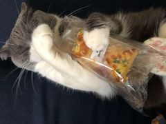 -好利来(十里河店)