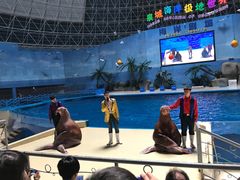 -泉城欧乐堡海洋极地世界