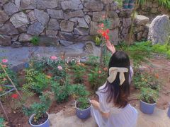 -终南山国家森林公园