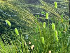 -龙湖重庆时代天街