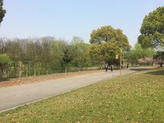 -梁鸿国家湿地公园