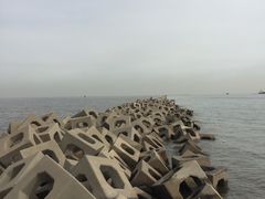 -东疆建设开发纪念公园