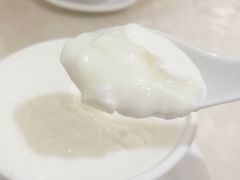 -老周记顺德双皮奶