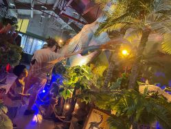 -恐龙探索乐园(磁器口店)