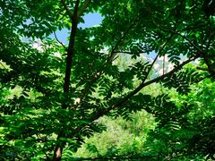 -北京凤凰岭