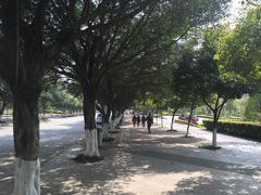 -西南政法大学(渝北校区)