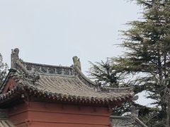 -洛阳白马寺