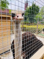 -萌宠亲子动物乐园(槐房万达店)