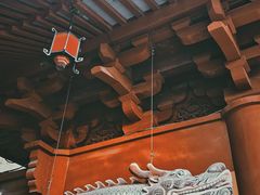 -上海东林寺(金山区)