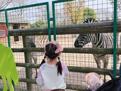 -苏州太湖西山岛开心农场