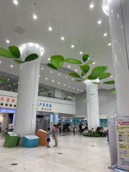 -上海市儿童医院(泸定路院区)
