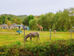 -哈尔滨北方森林动物园