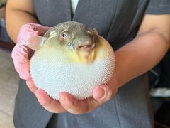 -永安鱼庄·镇江菜(东吴路店)